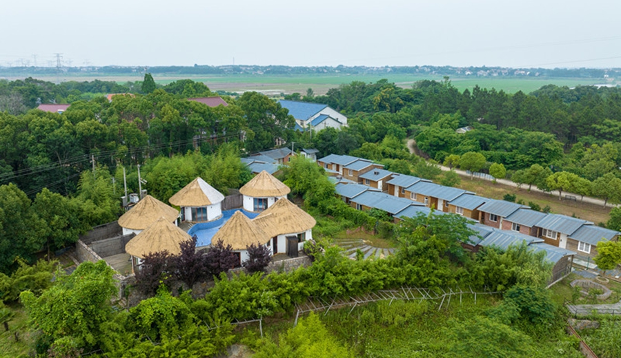 205.jpg