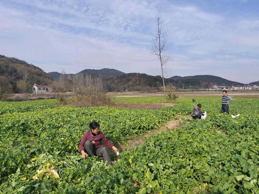 微信圖片_202312011616111_副本.jpg