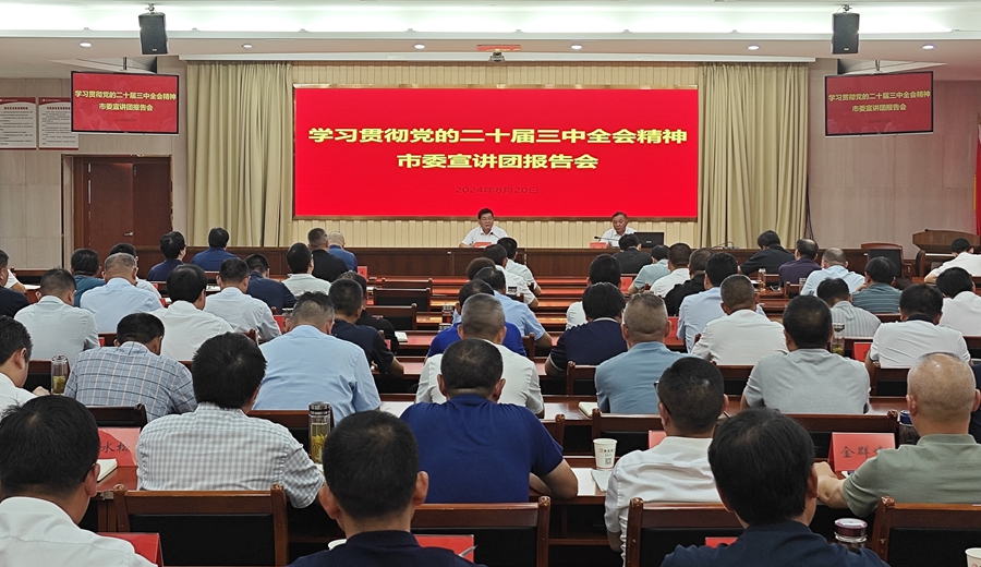 學習貫徹黨的二十屆三中全會精神安慶市委宣講團宣講報告會在望舉行