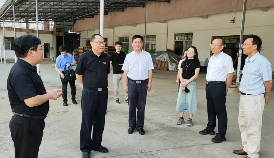 章松來望江縣宣講黨的二十屆三中全會精神并調研