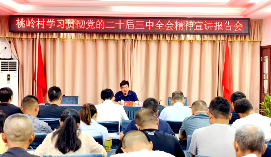 汪久清到桃嶺村宣講黨的二十屆三中全會精神