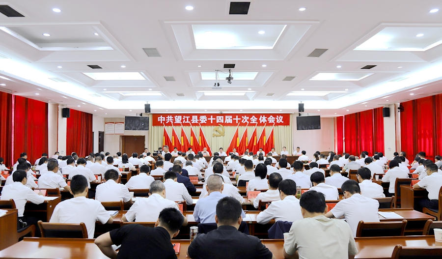 中共望江縣委十四屆十次全會召開