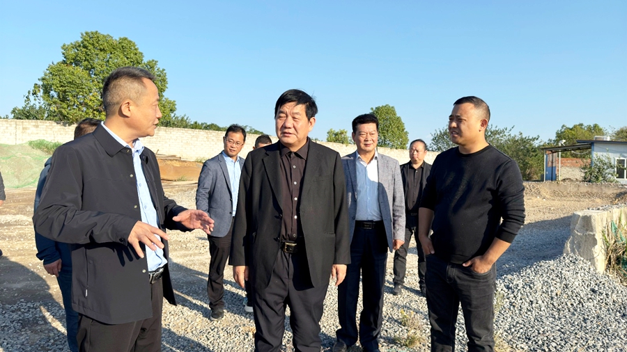 汪久清督導中央生態環境保護督察信訪交辦件整改情況