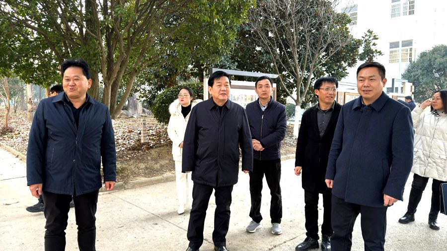 汪久清調(diào)研全面從嚴治黨暨群眾身邊不正之風和腐敗問題集中整治工作