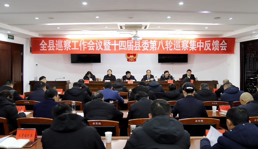 望江縣召開巡察工作會議暨十四屆縣委第八輪巡察集中反饋會